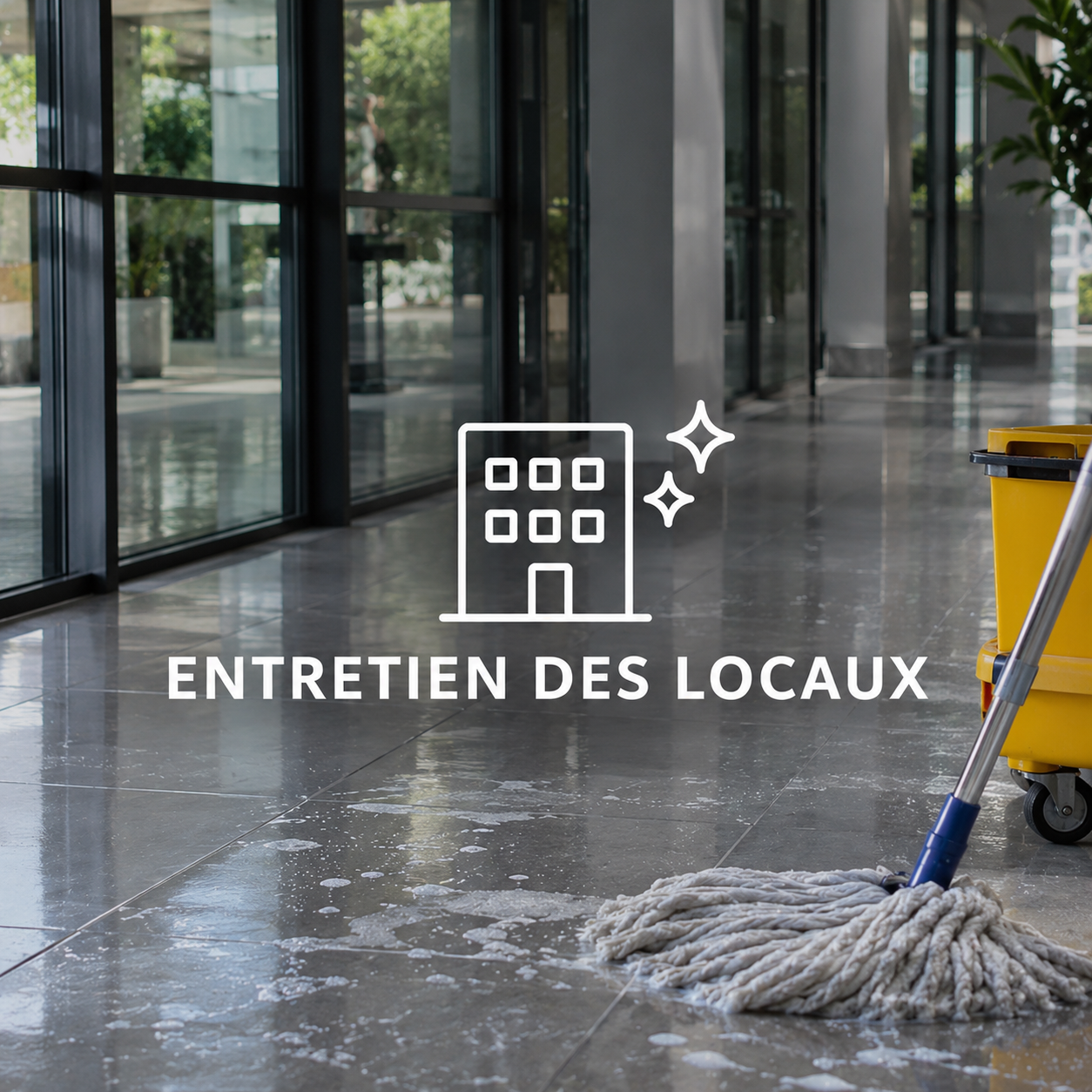 entretien des locaux chimagra caraïbes